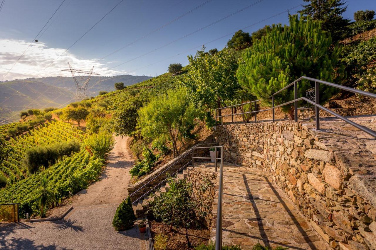 Quinta Da Portela Douro Bed & Breakfast Armamar Exterior photo