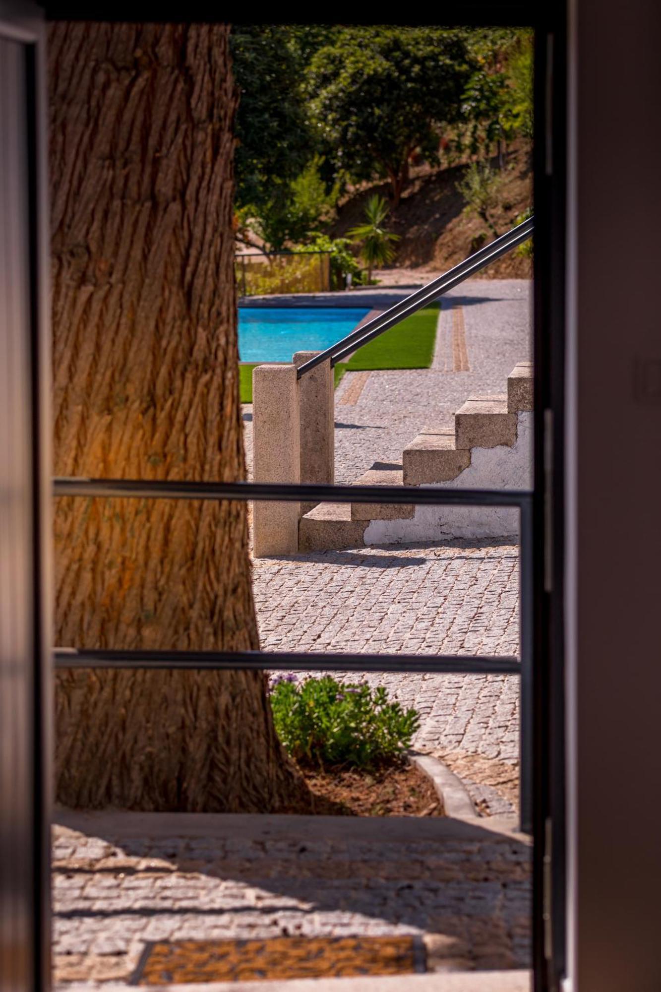 Quinta Da Portela Douro Bed & Breakfast Armamar Exterior photo